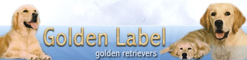 Golden Label